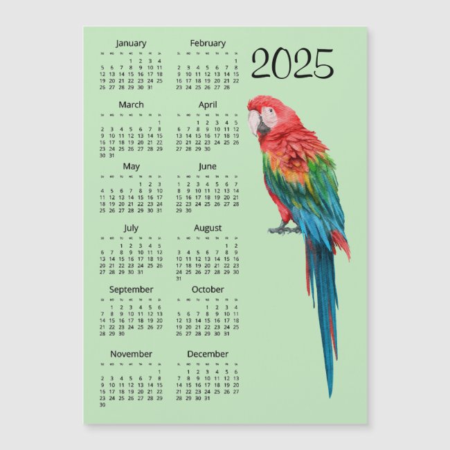 Scarlet Macaw 2025 Calendar Magnetic Card