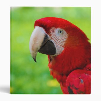 Scarlet Macaw Ara Macao American Parrot Binder | Zazzle