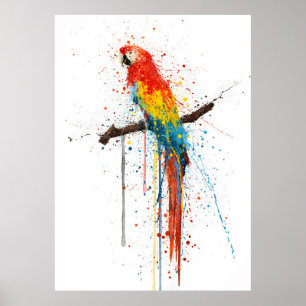 Scarlet Macaw Bird Poster