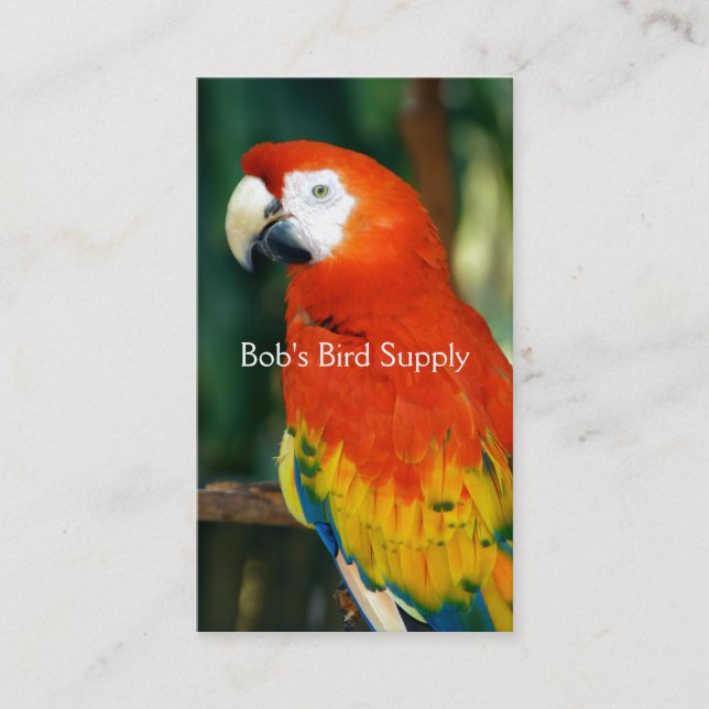 Scarlet Macaw Business Card (Front)