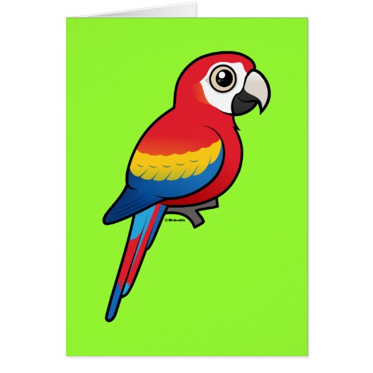 Scarlet Macaw Cards (Front)