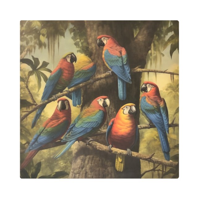 Scarlet Macaw Collective Metal Jungle  Print (Front)