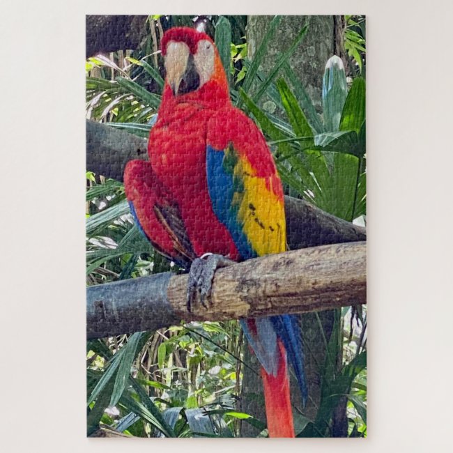 Scarlet Macaw Costa Rica Jigsaw Puzzle