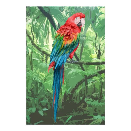 Scarlet Macaw Design Photo Enlargement