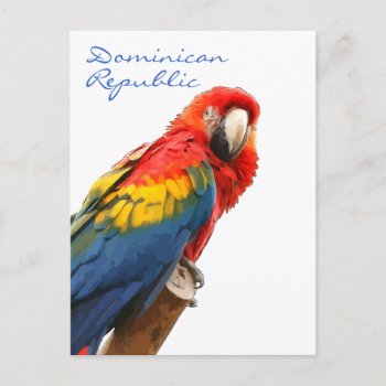 Scarlet Macaw Dominican Republic Postcard by duhlar at Zazzle