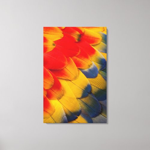 Scarlet Macaw feathers close_up Canvas Print