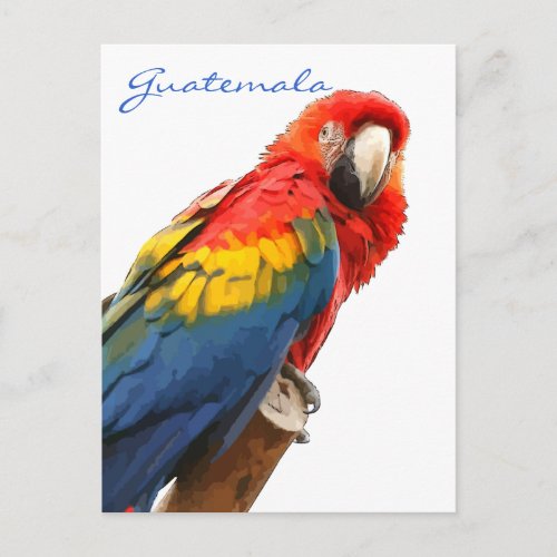 Scarlet Macaw Guatemala Postcard