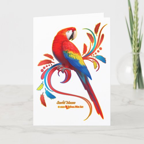 Scarlet Macaw Holiday Card