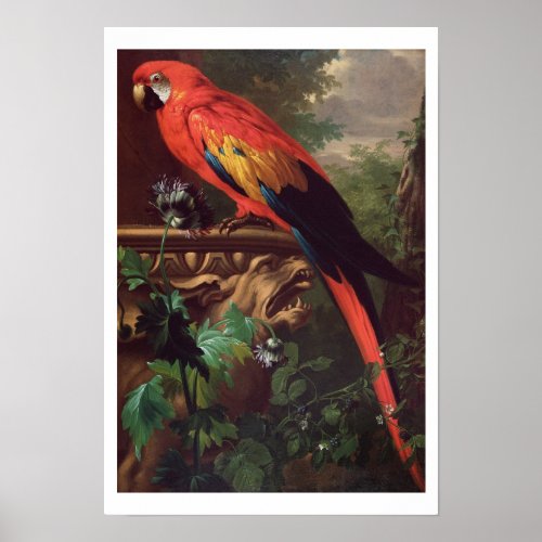 Scarlet Macaw in a Landscape oil on canvas Poster