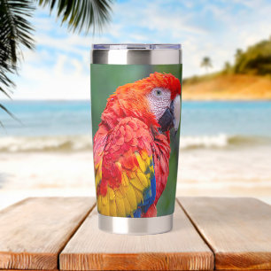 Scarlet Macaw Insulated Tumbler
