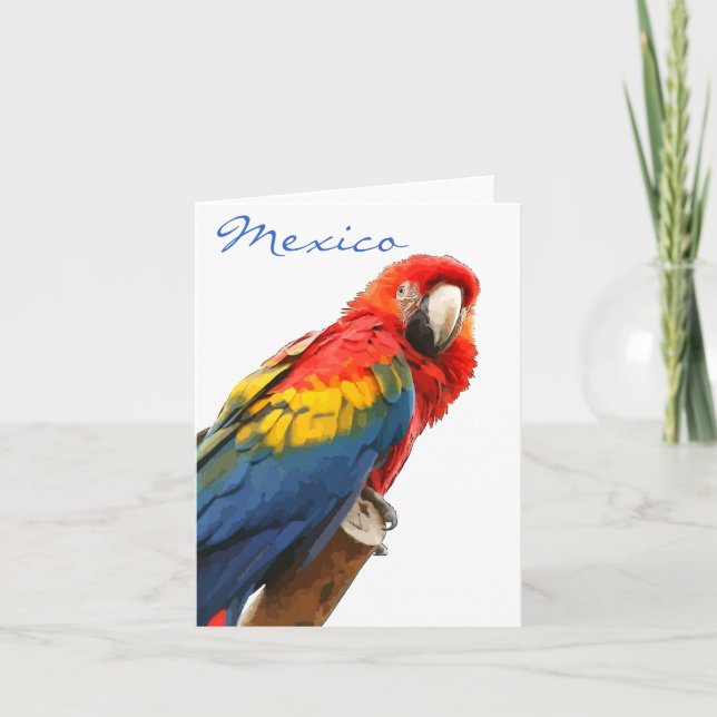 Scarlet Macaw Mexico Note Card (Front)