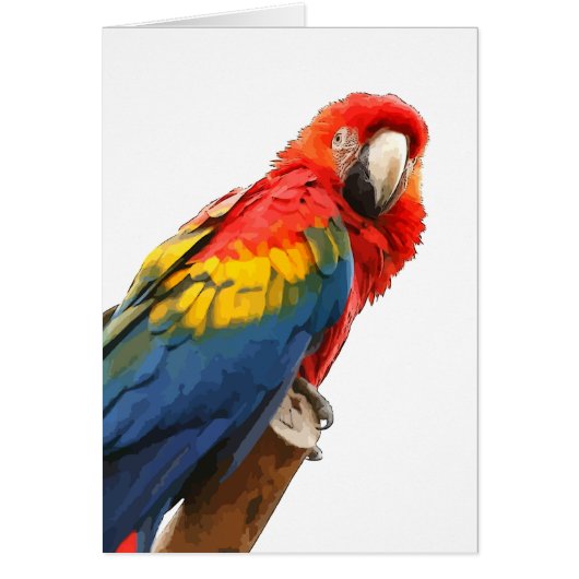 Scarlet Macaw Note Card (Front)