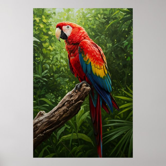 Scarlet Macaw Oil Painting Poster (Front)