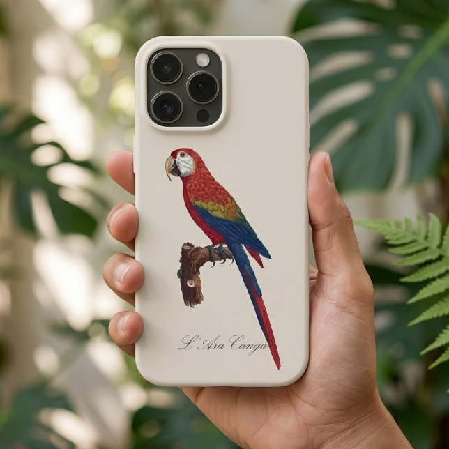 Scarlet Macaw or Red-Breasted Macaw, Ara macao Case-Mate iPhone Case (Scarlet Macaw or Red-Breasted Macaw, Ara macao. iPhone Case)