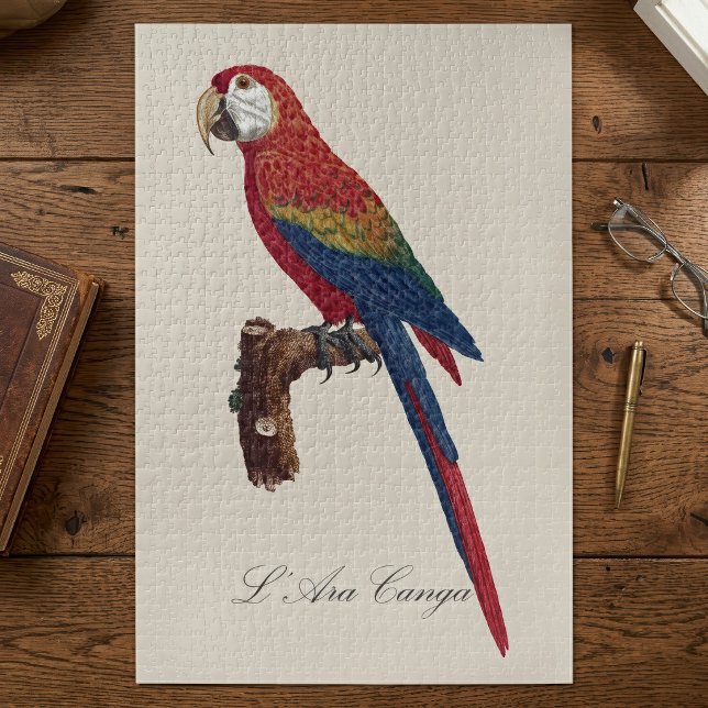 Scarlet Macaw or Red-Breasted Macaw, Ara macao Jigsaw Puzzle (Scarlet Macaw or Red-Breasted Macaw, Ara macao. Jigsaw Puzzle)
