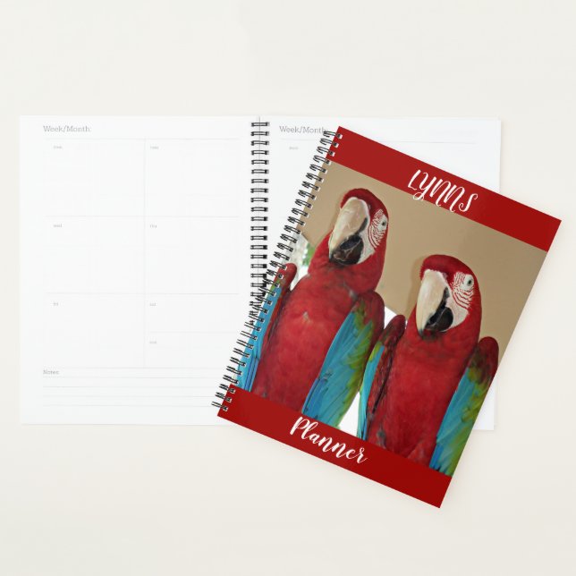 Scarlet Macaw Pair Tropical Red Layout Planner (Display)