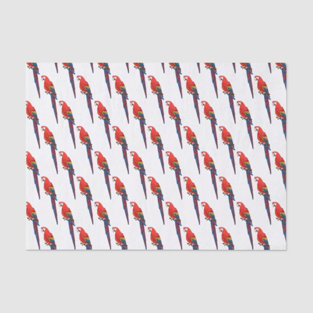 Scarlet macaw parrot cartoon illustration tissue paper (Front)