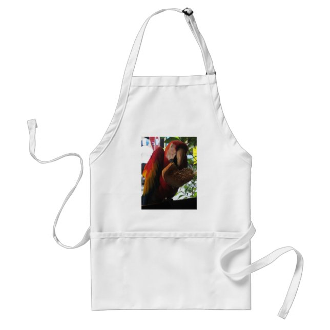 Scarlet Macaw Parrot Eating Toast Adult Apron (Front)