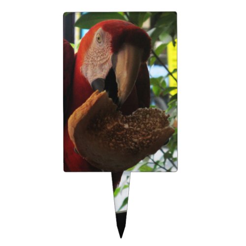 Scarlet Macaw Parrot Eating Toast Cake Topper