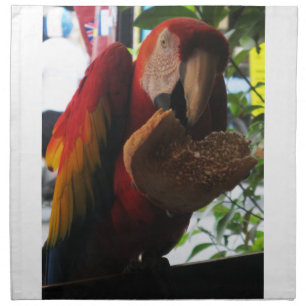 Scarlet Macaw Parrot Eating Toast Cloth Napkin