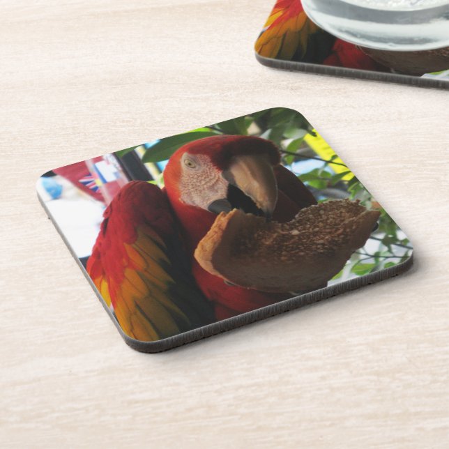 Scarlet Macaw Parrot Eating Toast Coaster (Left Side)