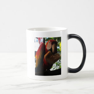 Scarlet Macaw Parrot Eating Toast Color Morph Mug