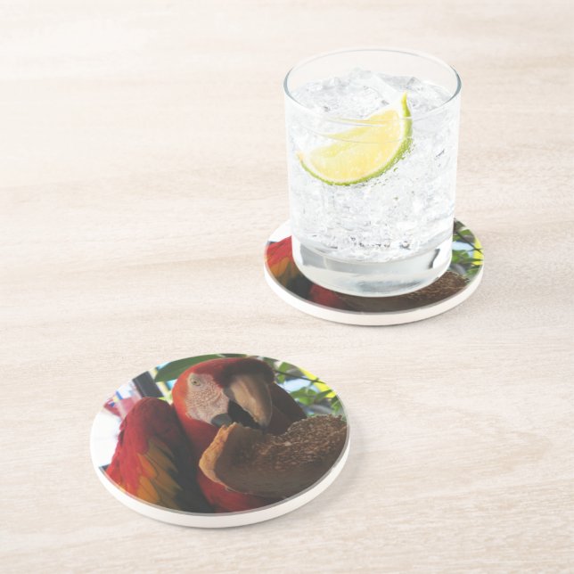 Scarlet Macaw Parrot Eating Toast Drink Coaster (Side)