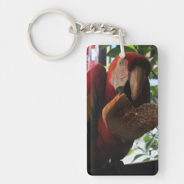 Scarlet Macaw Parrot Eating Toast Keychain (Front)