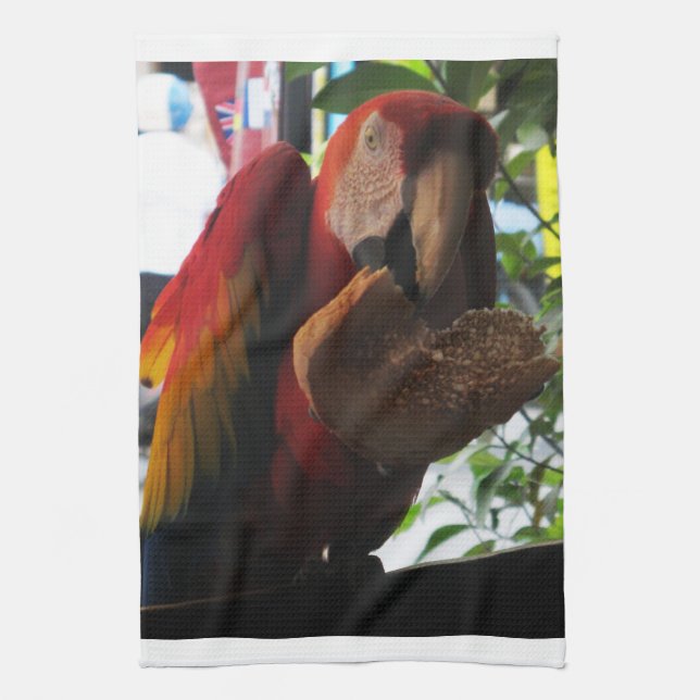 Scarlet Macaw Parrot Eating Toast Kitchen Towel (Vertical)