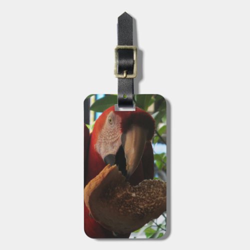 Scarlet Macaw Parrot Eating Toast Luggage Tag