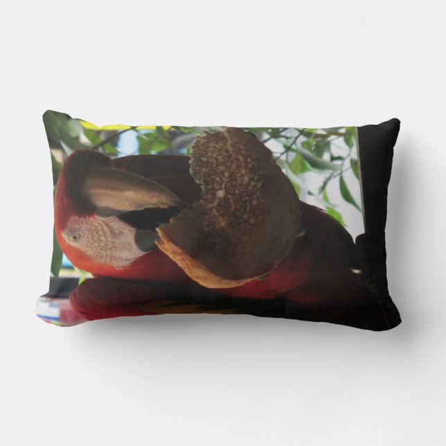 Scarlet Macaw Parrot Eating Toast Lumbar Pillow (Front)