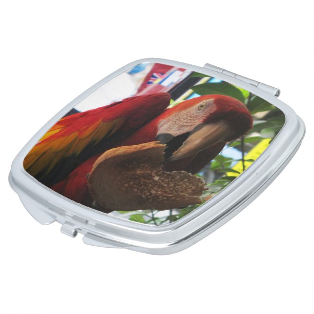 Scarlet Macaw Parrot Eating Toast Mirror For Makeup (Turned)
