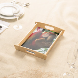 Scarlet Macaw Parrot Eating Toast Serving Tray