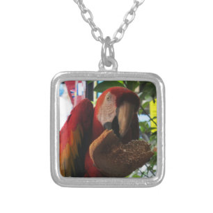 Scarlet Macaw Parrot Eating Toast Silver Plated Necklace