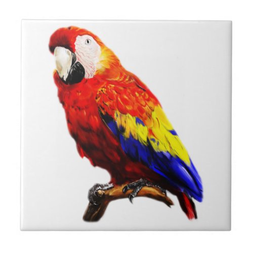 Scarlet Macaw Parrot on A Branch Ceramic Tile