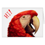 Scarlet Macaw Parrot Realistic Painting Greeting Card