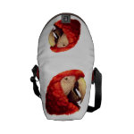 Scarlet Macaw Parrot Realistic Painting Messenger Bag
