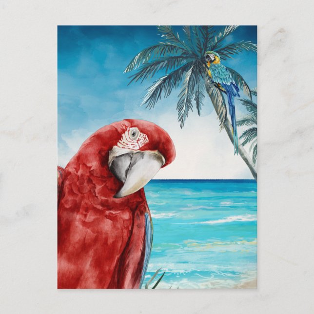 Scarlet Macaw Parrot Watercolor Tropical Postcard (Front)