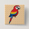 Scarlet Macaw Pinback Button