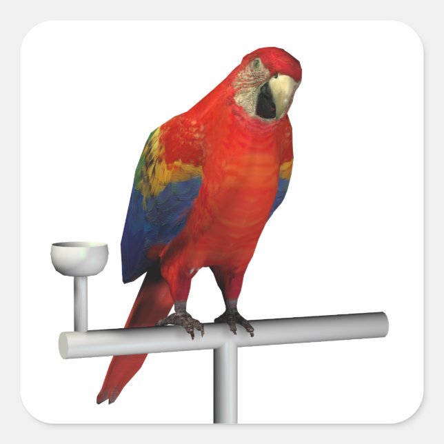 Scarlet Macaw Square Sticker (Front)