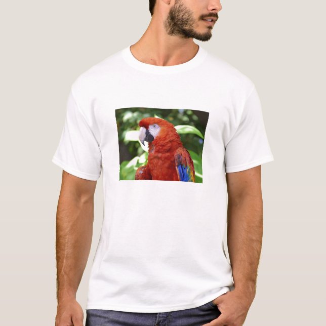 Scarlet Macaw T-Shirt (Front)