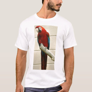 Scarlet Macaw T-Shirt
