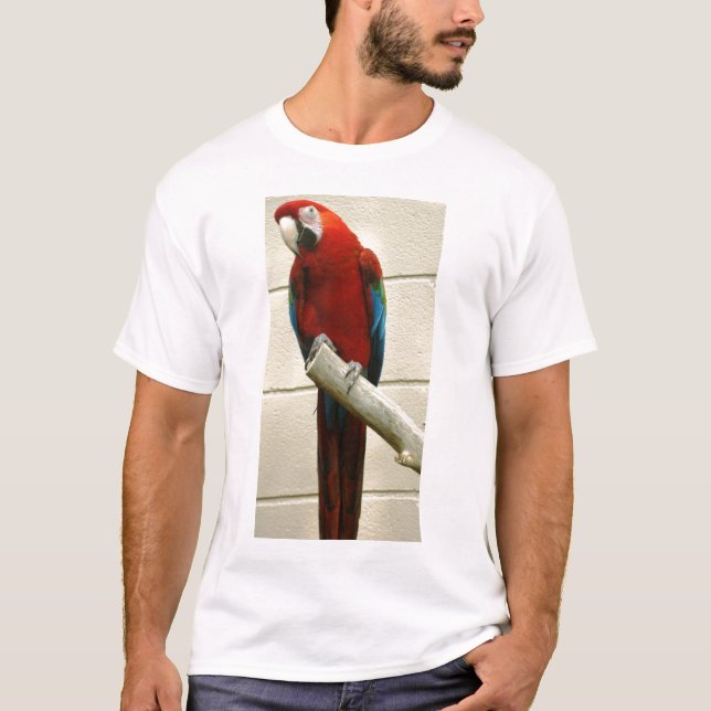 Scarlet Macaw T-Shirt (Front)