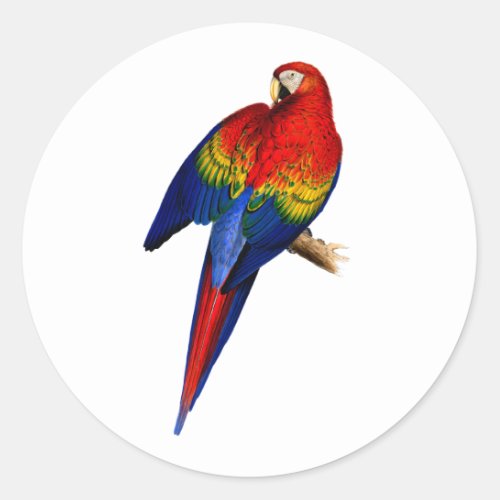 Scarlet Macaw Tropical Colorful Rain Forest Bird Classic Round Sticker