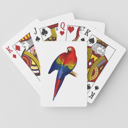 Scarlet Macaw Tropical Colorful Rain Forest Bird Poker Cards