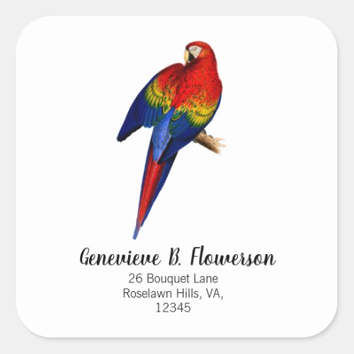 Scarlet Macaw Tropical Colorful Rain Forest Bird Square Sticker