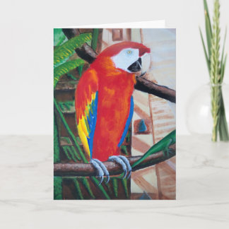Scarlet Macaw Wildlife Bird Greeting Card Art