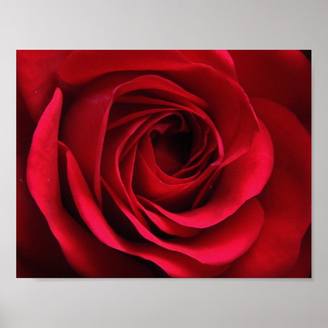 Scarlet Matte Poster (Front)