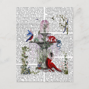 Scarlet Monkey 2 Postcard