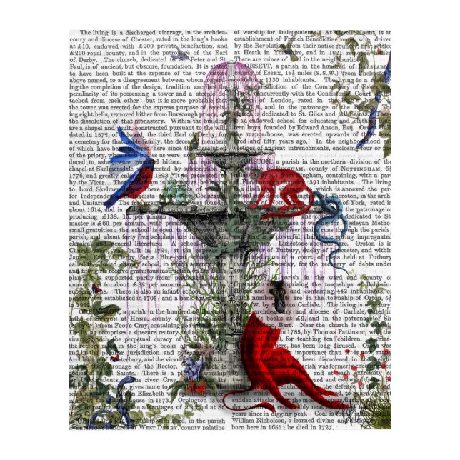 Scarlet Monkey Acrylic Print (Front)